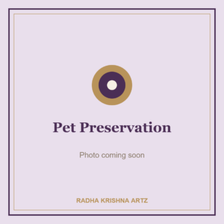 Pet Preservation