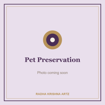Pet Preservation (photo coming soon)